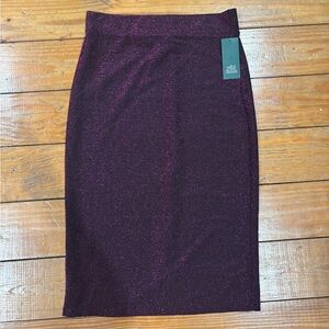 (799) +NWT WILD TABLE PURPLE SKIRT